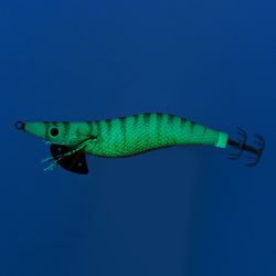 AKAMI Zebra Stripe – Pajarita Eging Profesional para Sepias y Calamares